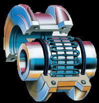 G50 series basic type Grid Coupling with brake wheel